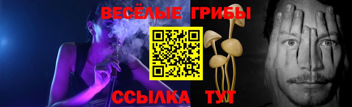 Псилоцибиновые грибы GOLDEN TEACHER  Вход с VPN  Шарыпово 